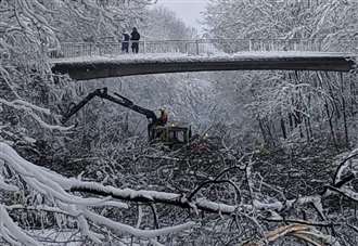 Emergency clear up of 200 fallen trees