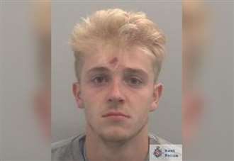 Harry Potter coin thief jailed