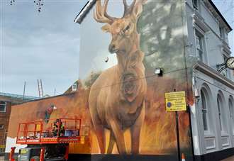 Incredible deer mural appears in town centre