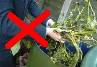 Council suspends garden waste collections until spring