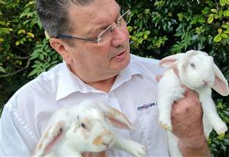 Rabbits at centre of row have new home