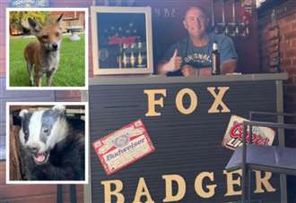 ‘I’ve closed my backyard badger bistro but now I’m pals with a fox’