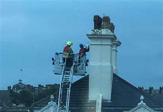 Fire engines rush to save seagull from rooftop