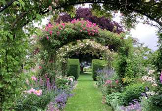 Summer gardens opening as part of the National Garden Scheme across Kent in June