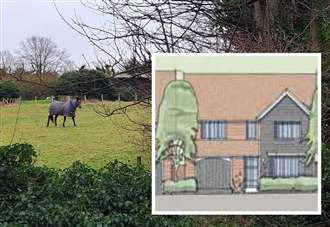 'Soulless' plans for 15 homes on horse field get green light