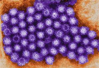 Norovirus outbreaks rising in nurseries and care homes