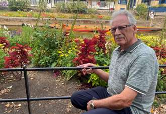 ‘Disrespectful tourists are trashing our flowerbeds for perfect Instagram photos'