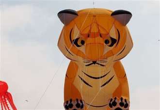 Kite event morphs into children's festival at Walmer Green