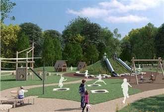 Park overhaul plan revealed after four years