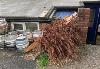 ‘The pub was as dead as the abandoned Christmas tree outside its back door’