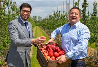 Minister visits fruit farm ahead of India trade talks