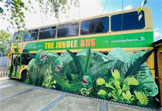 Double-decker escape room set to open at zoo