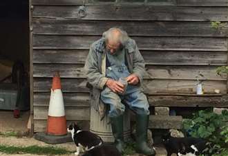 Can you help man with 29 cats?