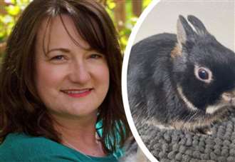 Warning after woman left in fear of ‘aggressive’ rabbit bought on Gumtree