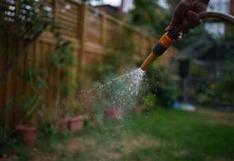 Kent responds to calls to grass on neighbours during hosepipe ban