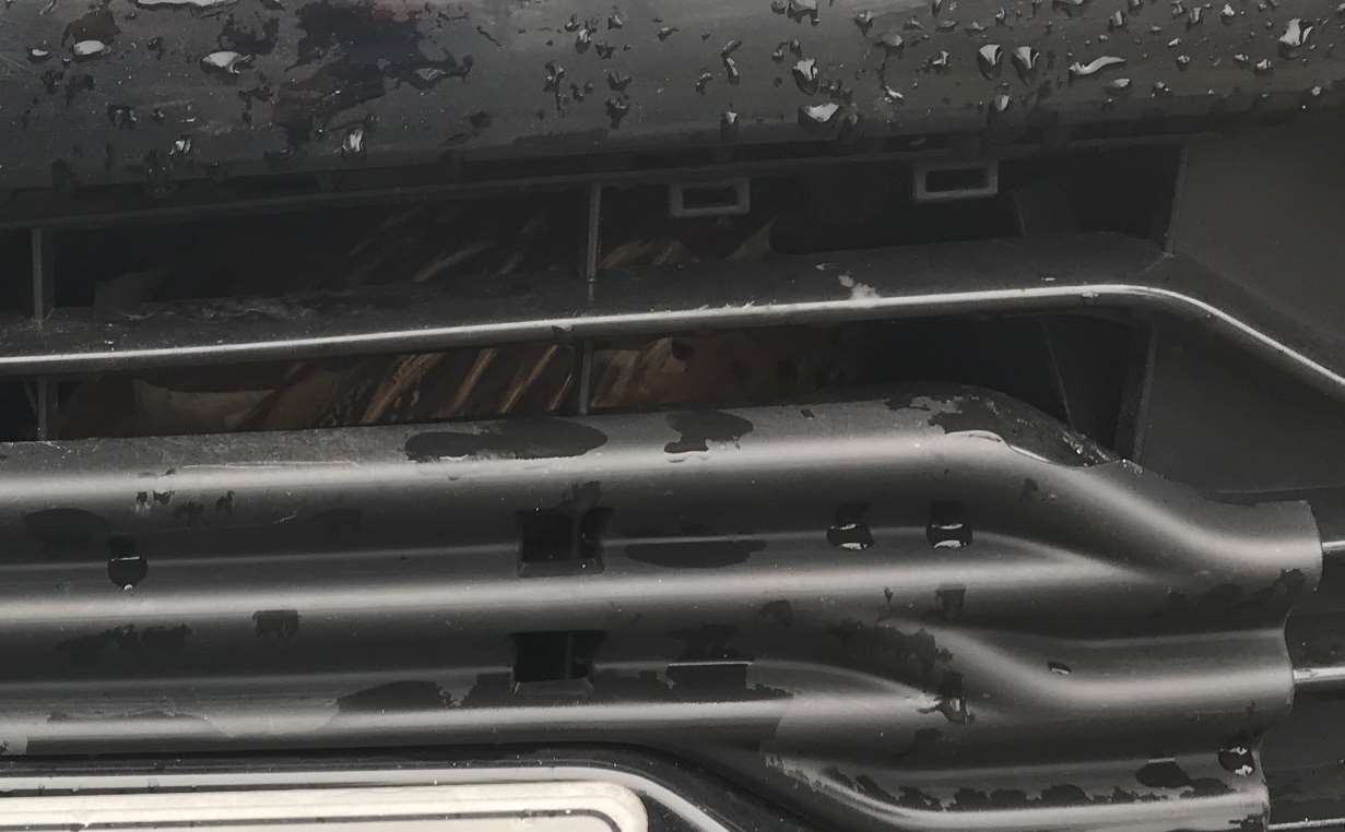 The pheasant could just be made out sitting behind the car’s front grille (RSPCA/PA)