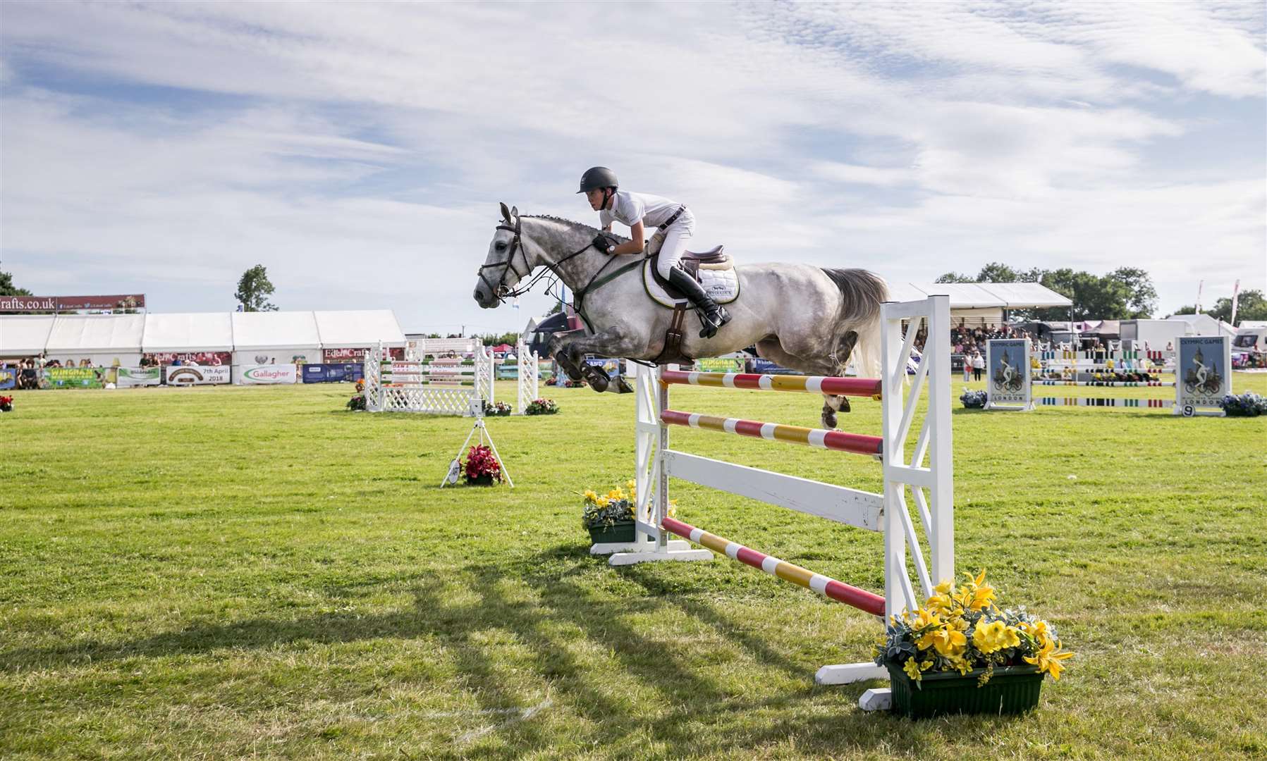 Royal horses and noble breeds will be competing at the Kent County Show Picture: Thomas Alexander