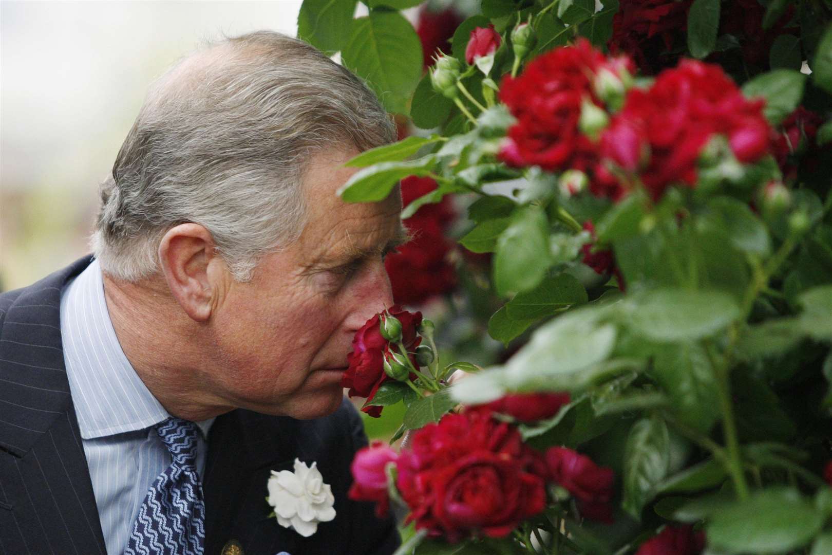 The Prince of Wales smelling a Highgrove rose in 2009 (Sang Tan/PA)