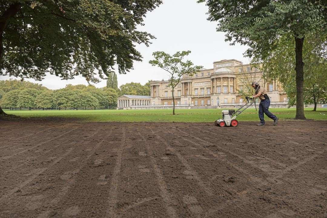 A member of the gardening team at Buckingham Palace tends to the lawns that are usually in need of repair after royal events (Royal Collection Trust/Her Majesty Queen Elizabeth II 2021/PA)