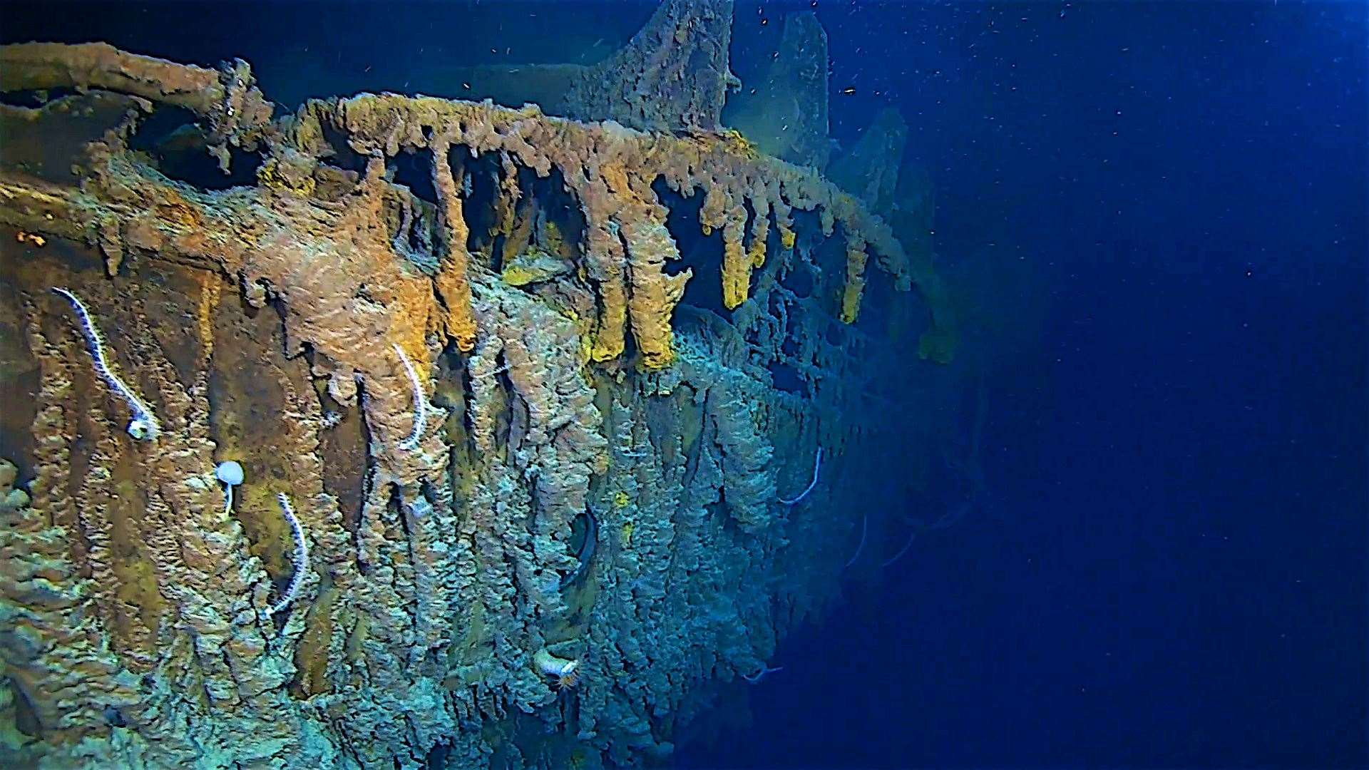 The RMS Titanic in her resting place (Atlantic Productions/PA)