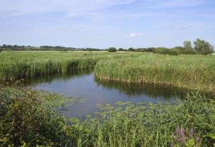 The Stodmarsh Nature Reserve near Canterbury