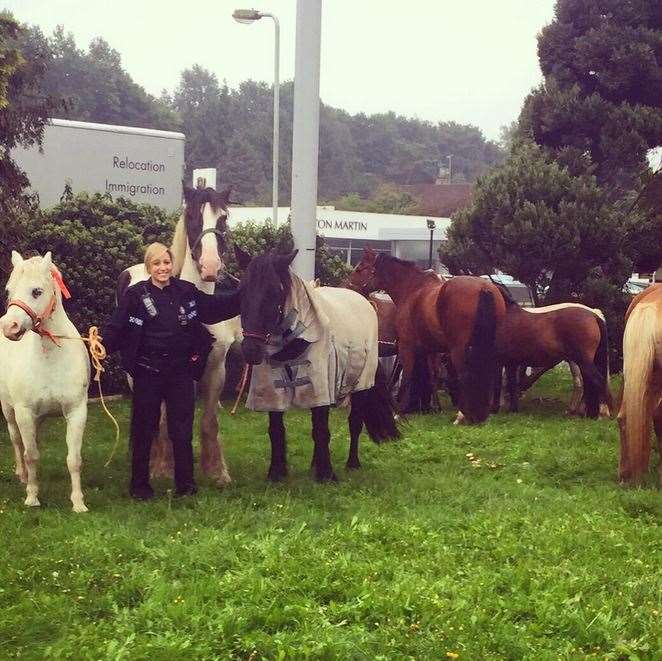 Police with the horses near Riverhead, Sevenoaks. Pic: @kentpolice7oaks