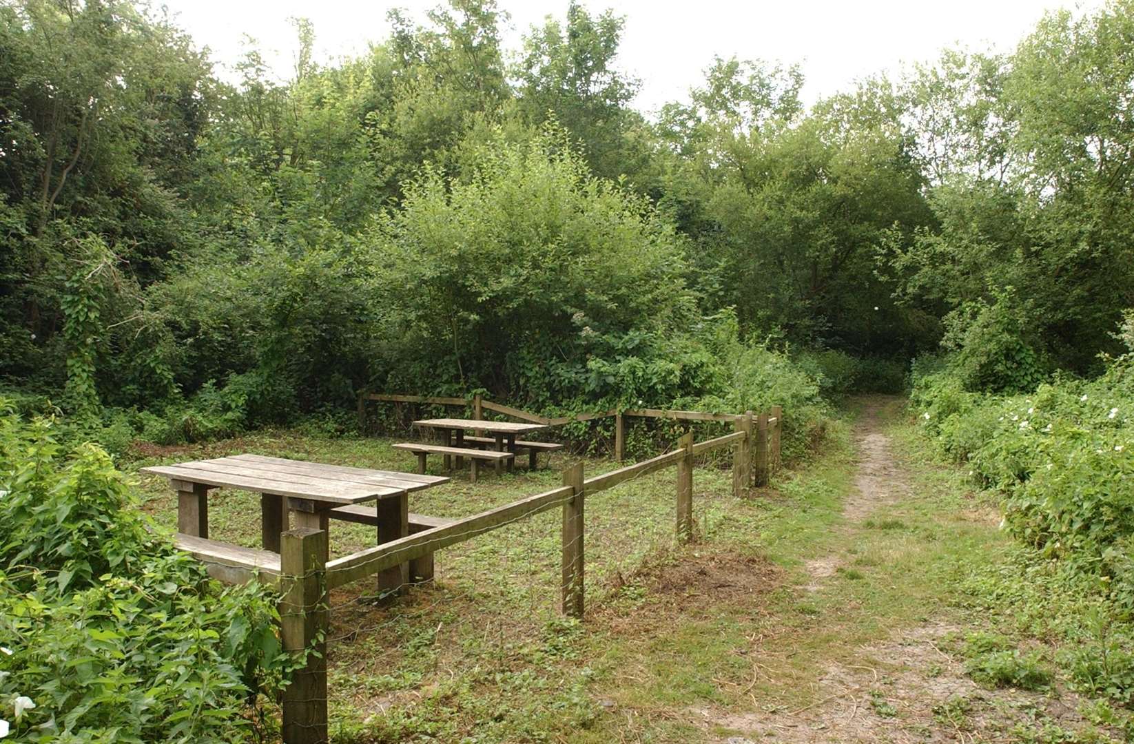 Some of the money will go towards Berengrave Nature Reserve