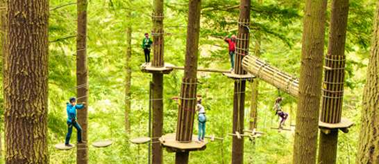 Go Ape is a great day out for all the family