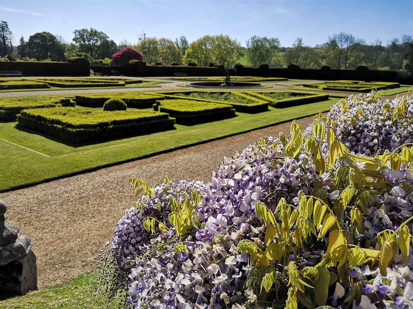 Penshurst Place's Wisteria Gardens