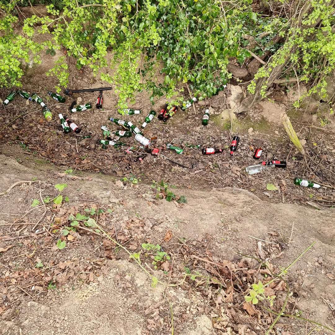 Beer bottles in a ditch. Picture: John Hall