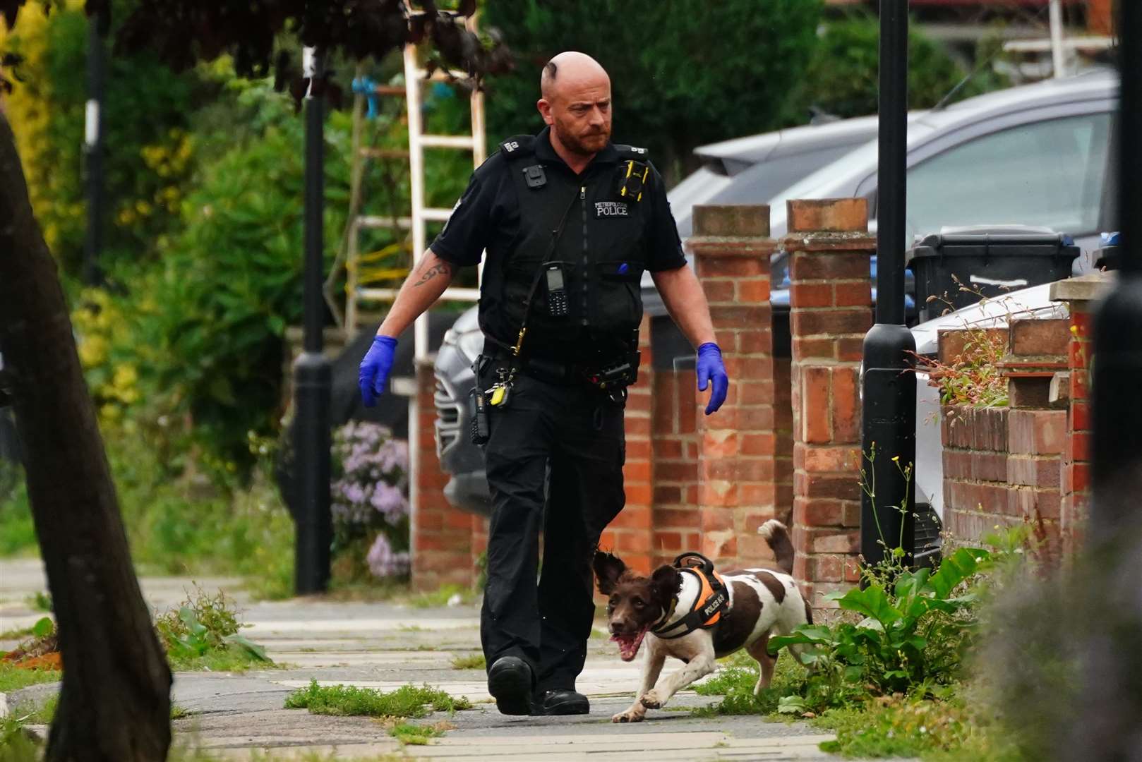 A sniffer dog searching near the scene of the incident (Victoria Jones/PA)