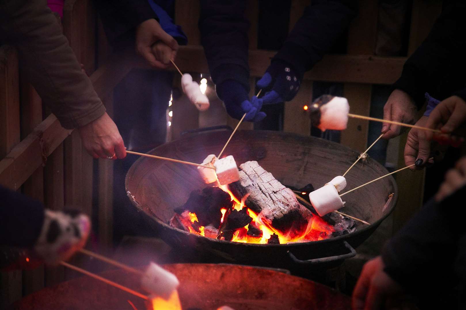 Visitors can toast marshmallows over a fire pit