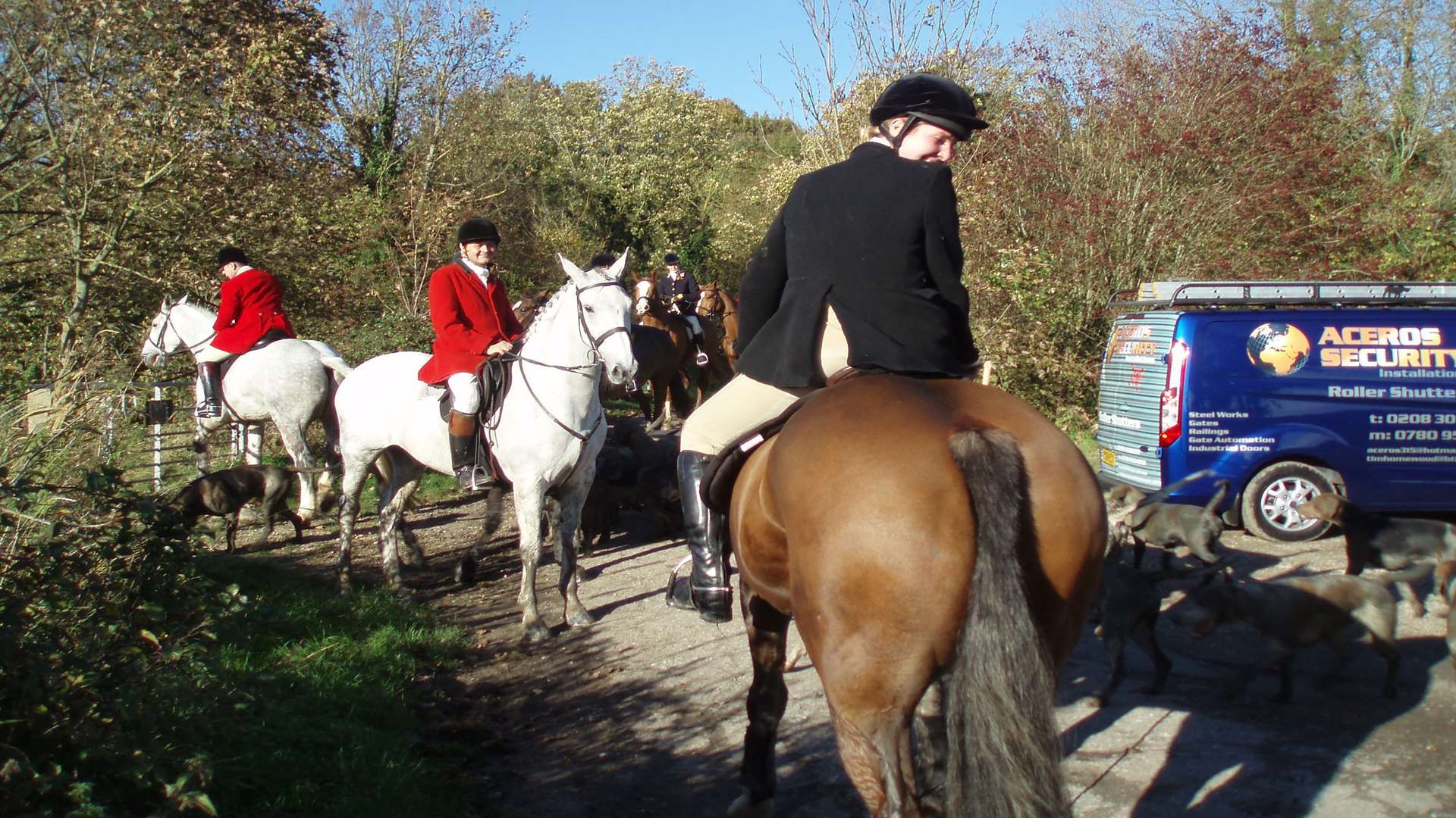 Hunt staff wear red jackets, while field (riders) wear black.
