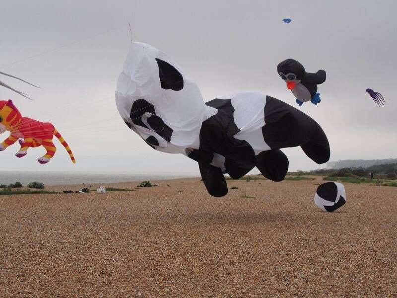 Kites, flown by Kent Kite Flyers at previous visits to Walmer Green