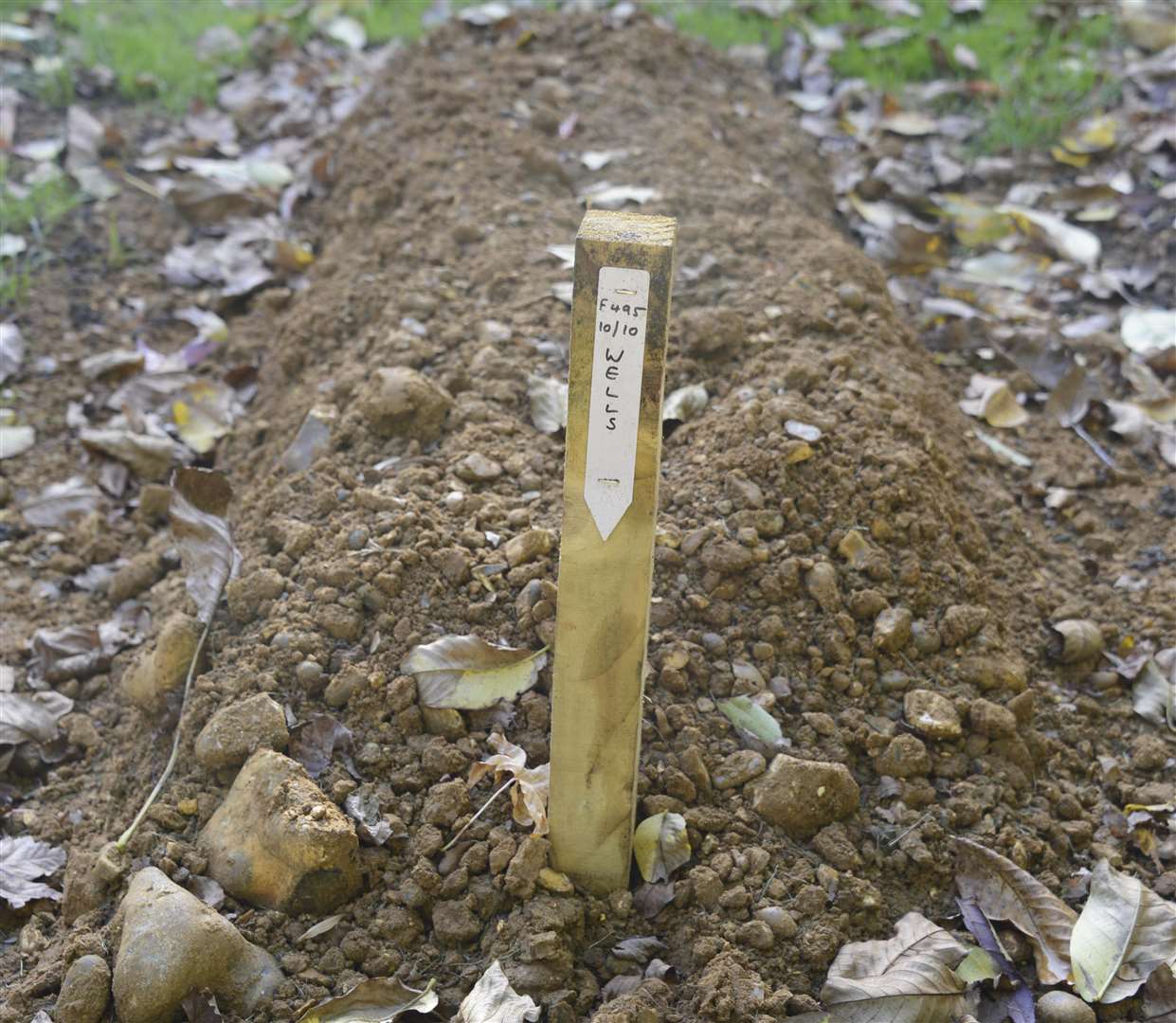 Raymond Wells' grave is bare apart from a wooden stick