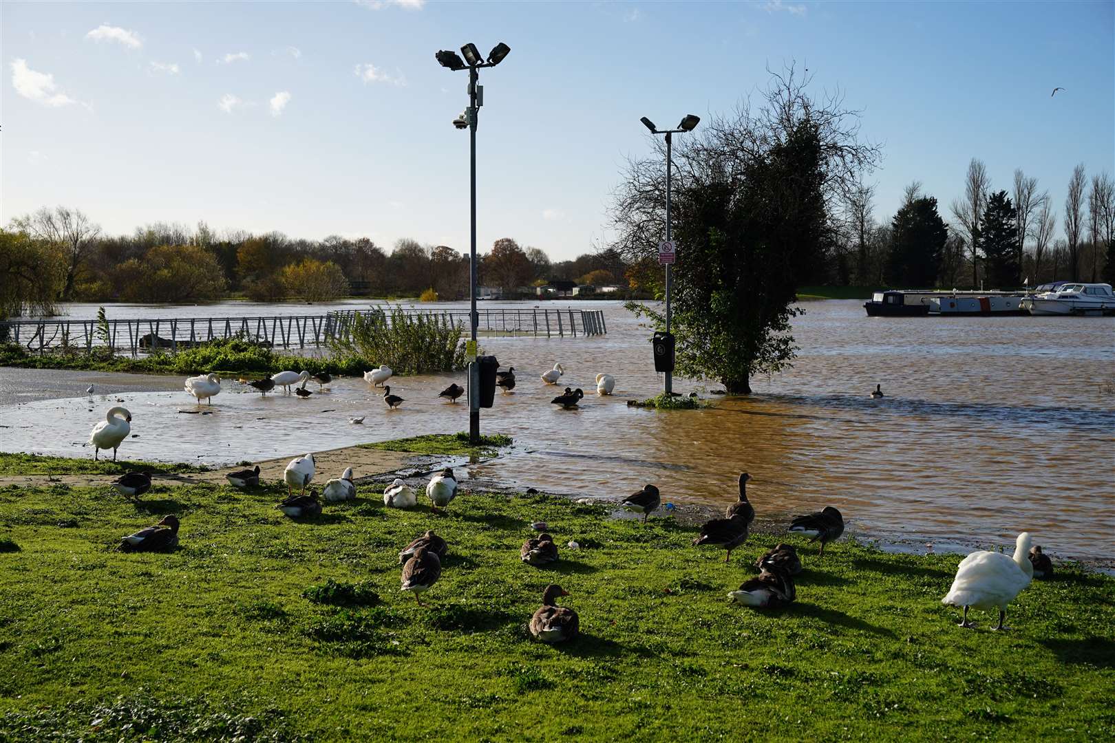 The adverse conditions were welcomed by swans, ducks and geese who found their favourite ponds were substantially larger than usual (Jordan Pettitt/PA)