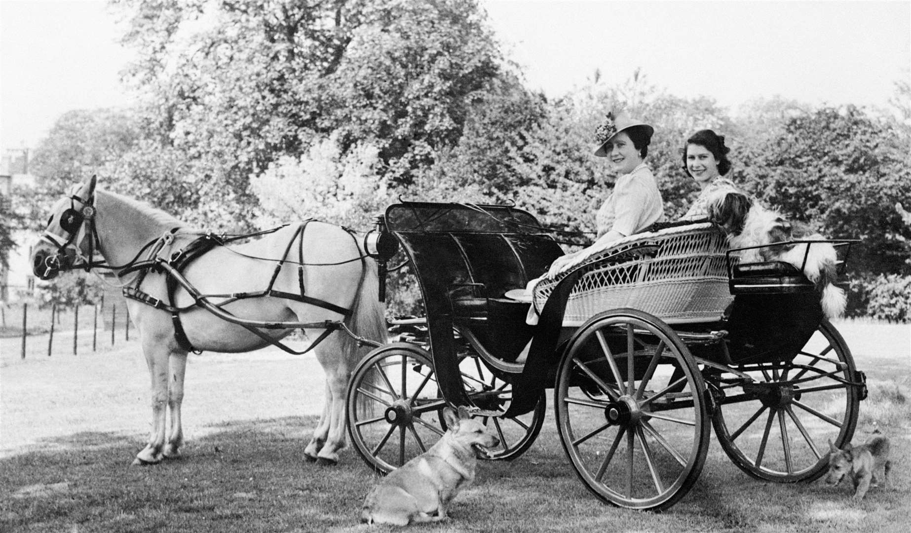 A nod to the Queen’s fondness for horses and corgis will be made (Lisa Sheridan/PA)