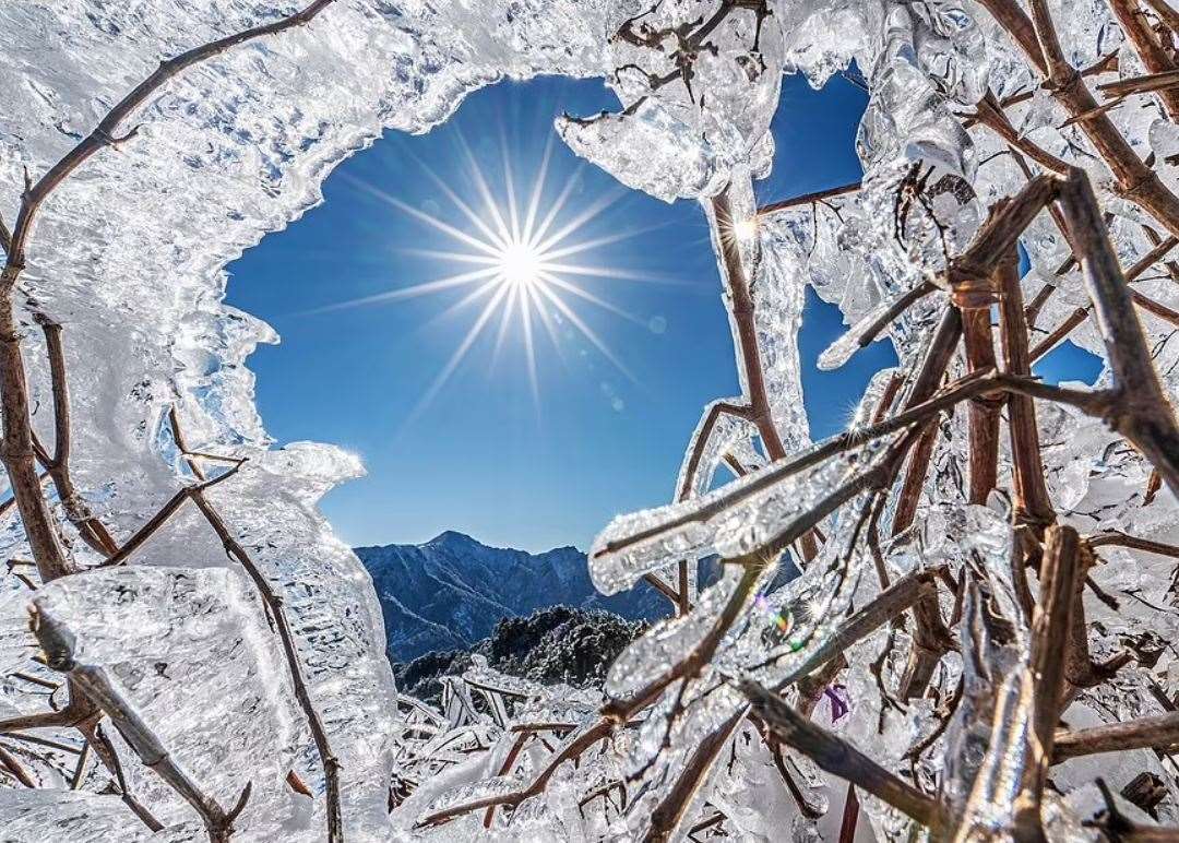 Photographer Rossi Fang captured the sun melting frozen branches on a mountain in Taiwan
