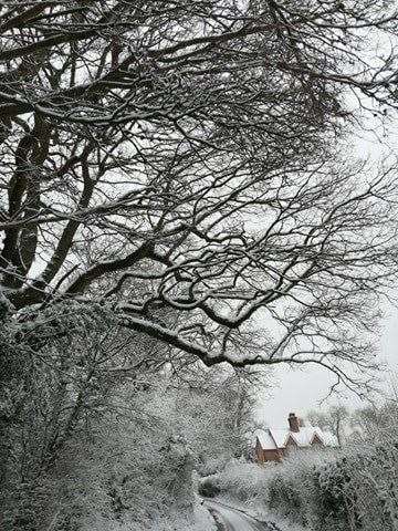 Laura Page took these lovely pictures in Goudhurst