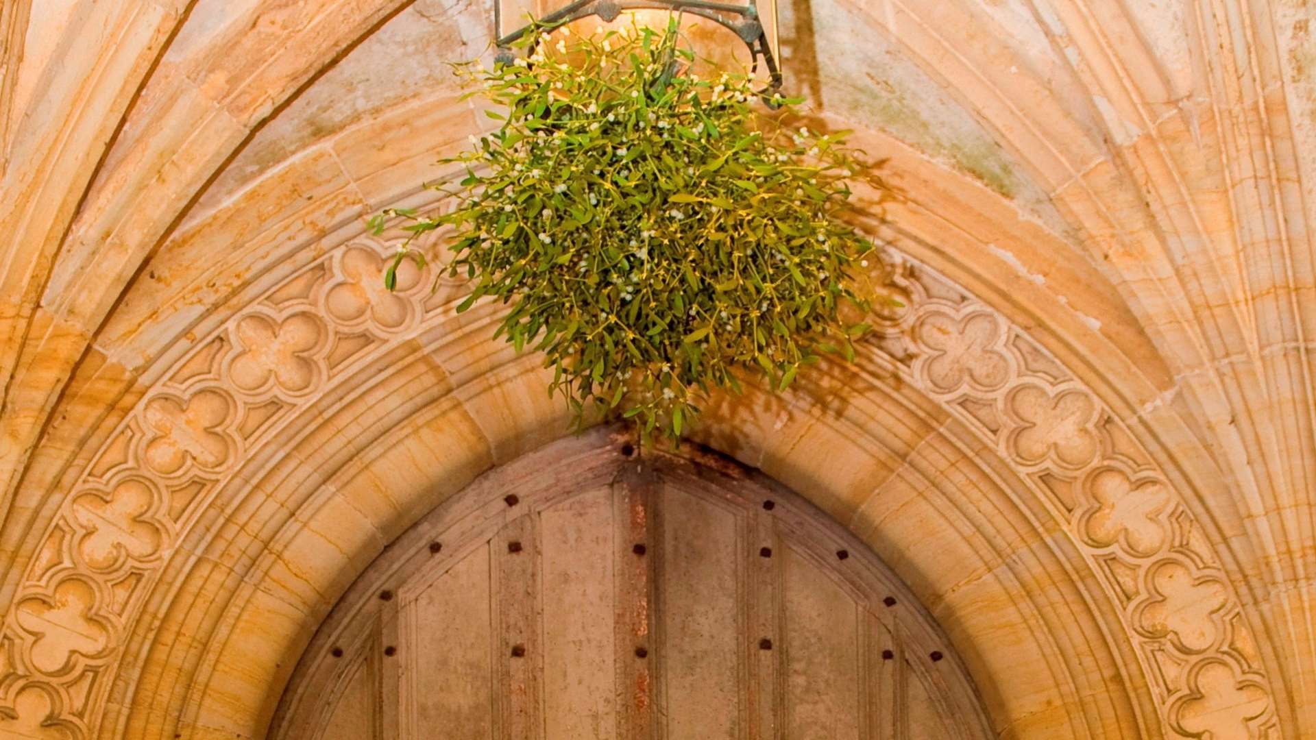 Mistletoe at Penshurst Place