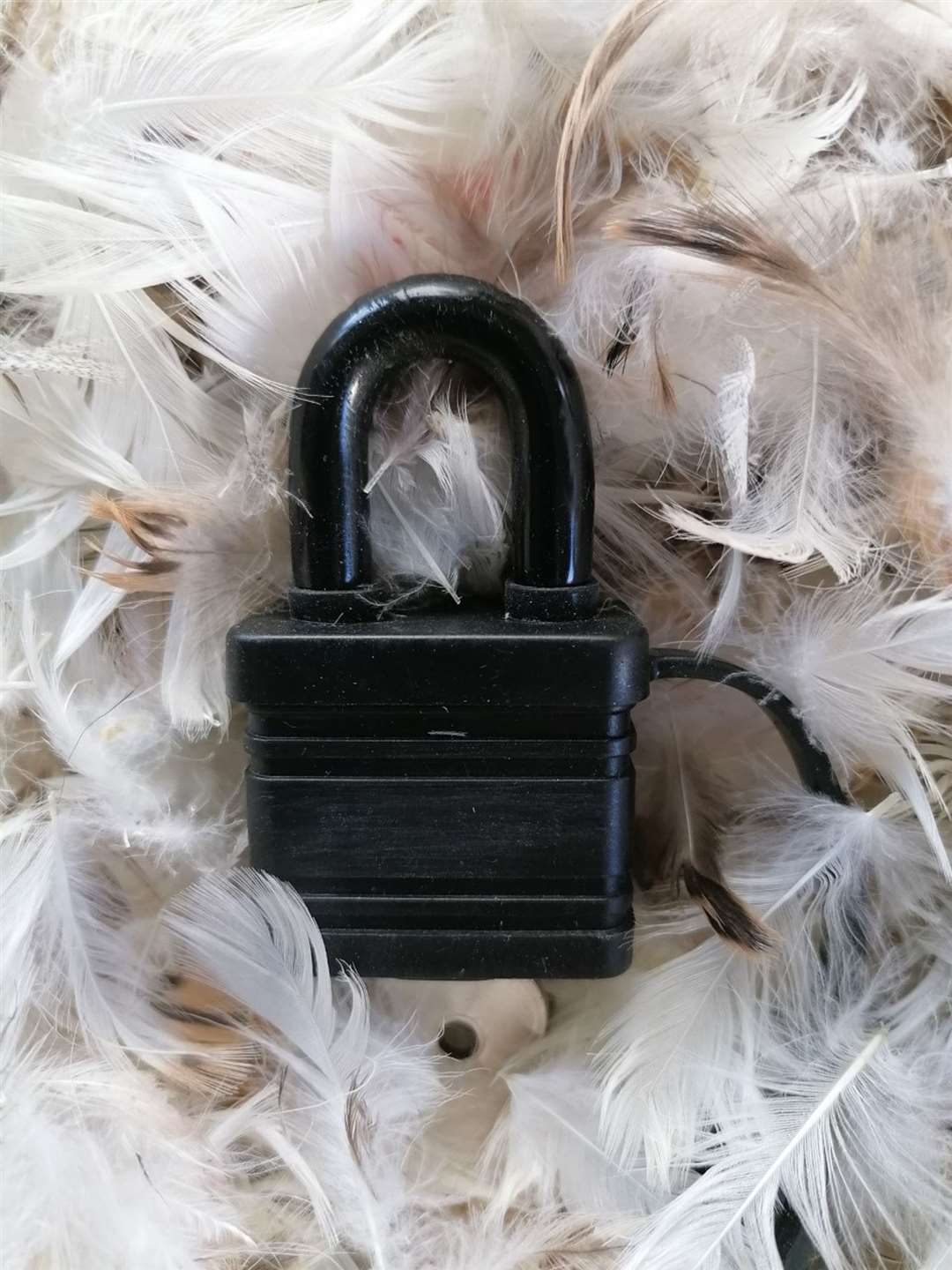 Herewe Goagain’s entry is entitled, Lockdown, and is a padlock on top of a pile of duck down feathers (Turnip Prize/PA)