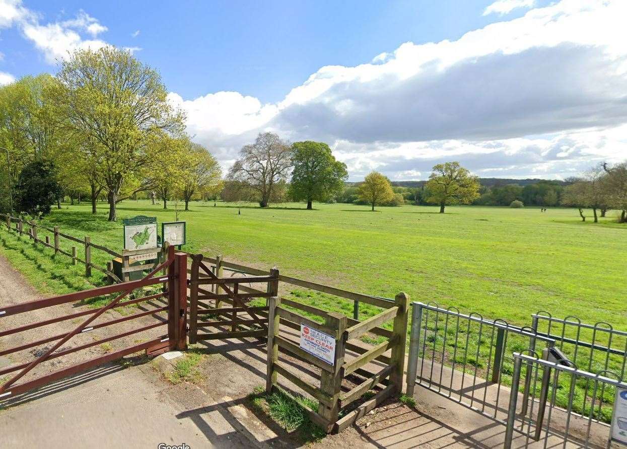 Four males were detained for allegedly shooting at wildlife with air rifles in Foots Cray Meadows, Sidcup. Picture: Google Street View