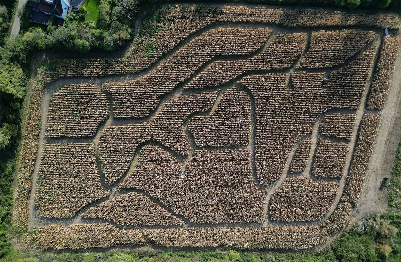 The two-acre maize mazes in Maidstone and Rainham will reopen for the summer. Picture: Maze Moon