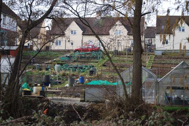 Barden Park Road allotments. Picture: N Chadwick
