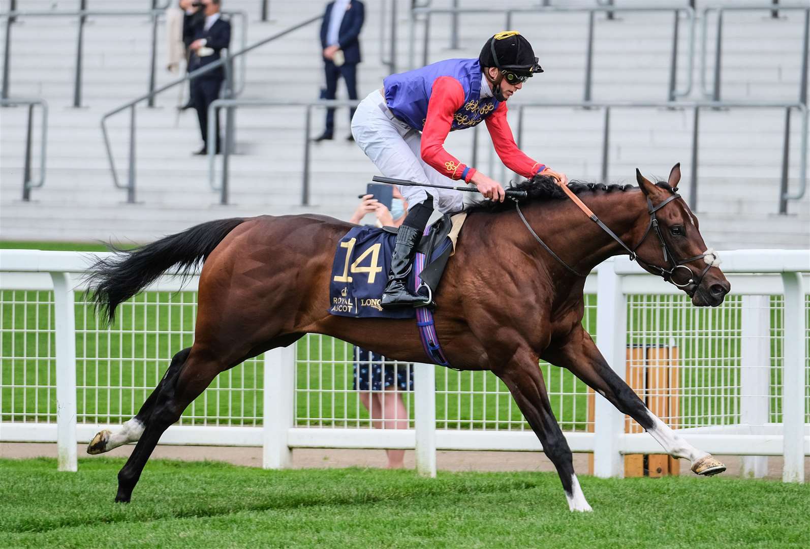 The Queen’s horse, Tactical, won the Windsor Castle Stakes on day two at Royal Ascot (Megan Ridgwell/PA)