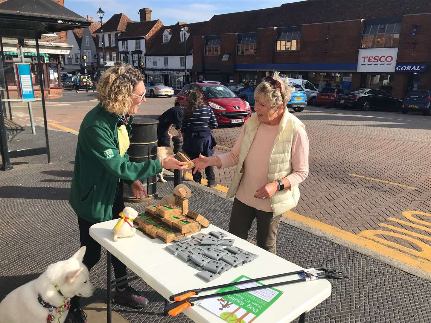 NES was starting with a softly-softly approach, handing out dog poo bags and litter stickers in West Malling