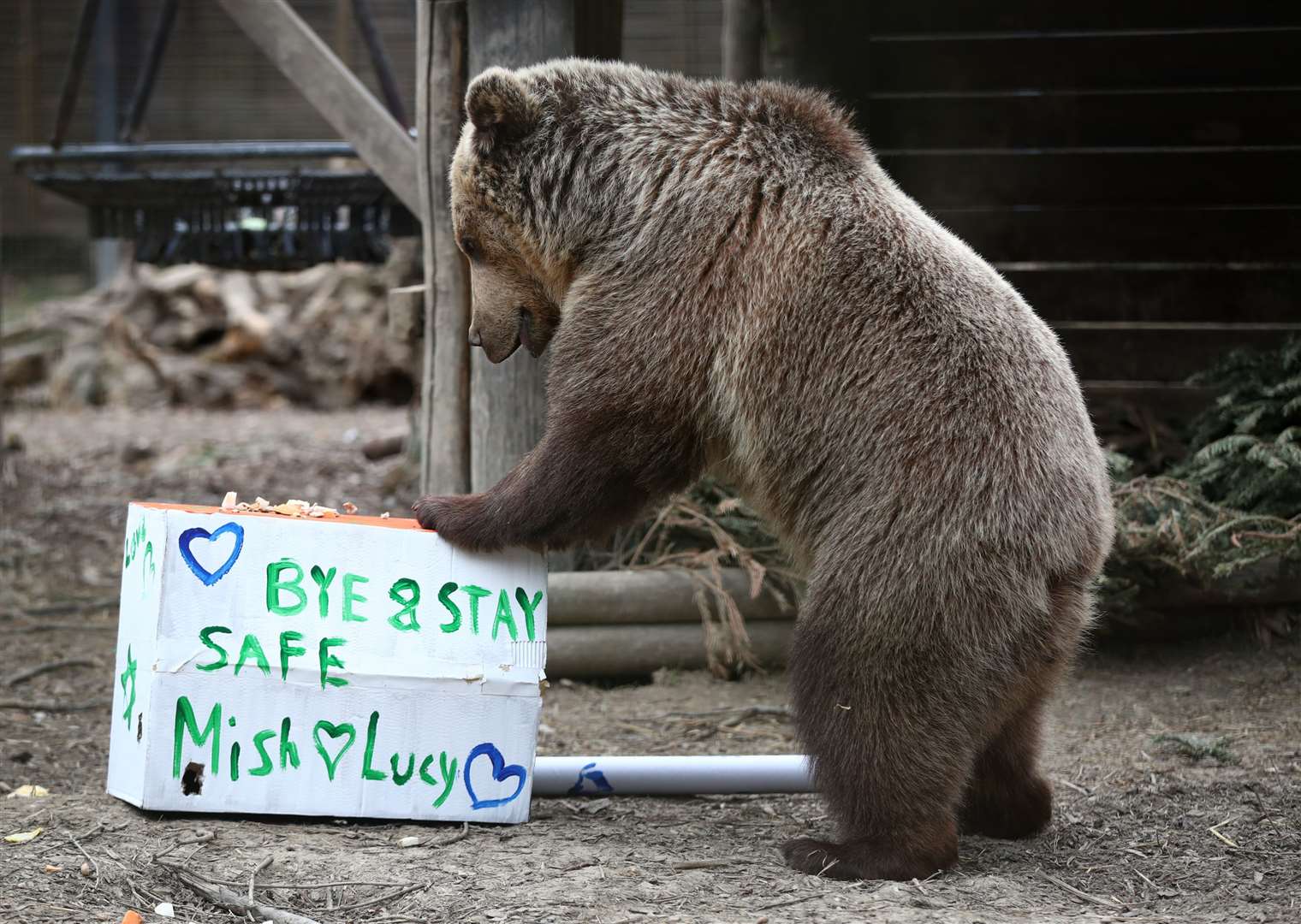 Mish explores gifts stuffed with treats (Gareth Fuller/PA)