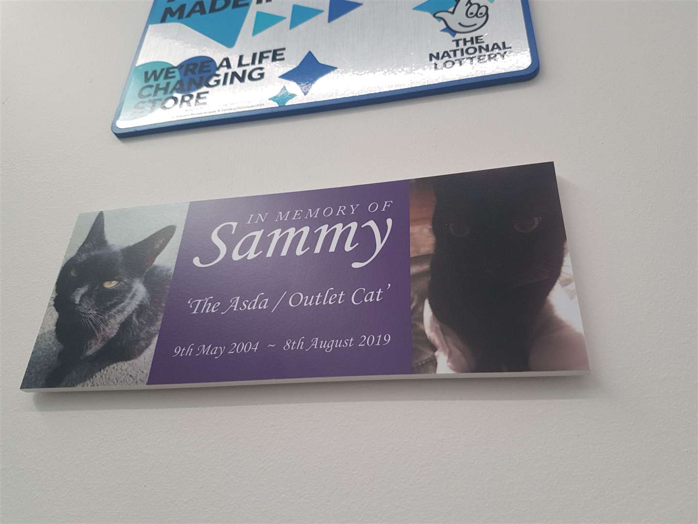A plaque has been erected in memory of Sammy the Asda Cat at the supermarket's Ashford branch (21543671)