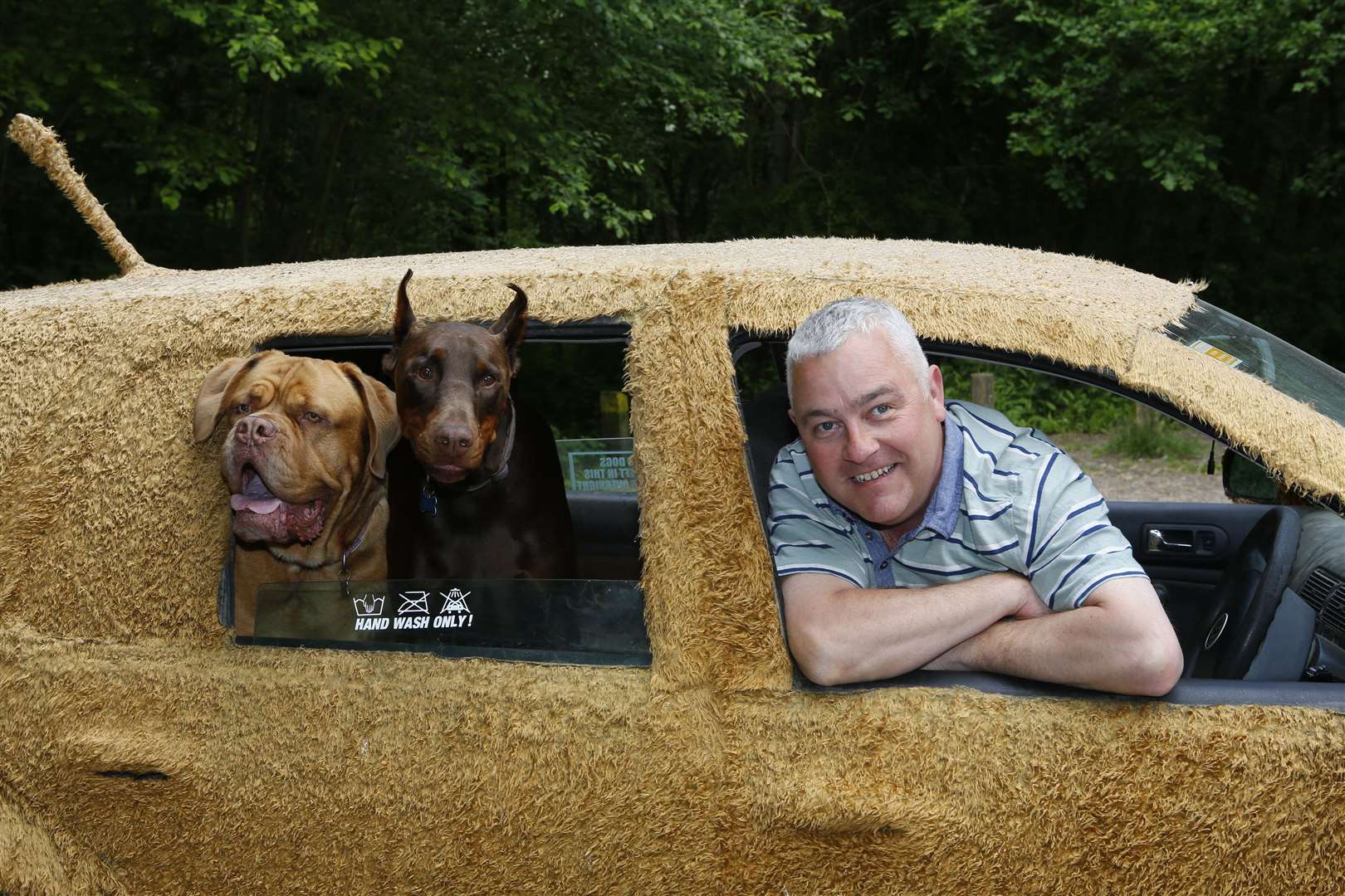 Justin Scrutton pictured in 2018 with Doberman Cenzo and Lola after decorating his car with fur to make it into the perfect vehicle to transport his dogs. Picture: Andy Jones