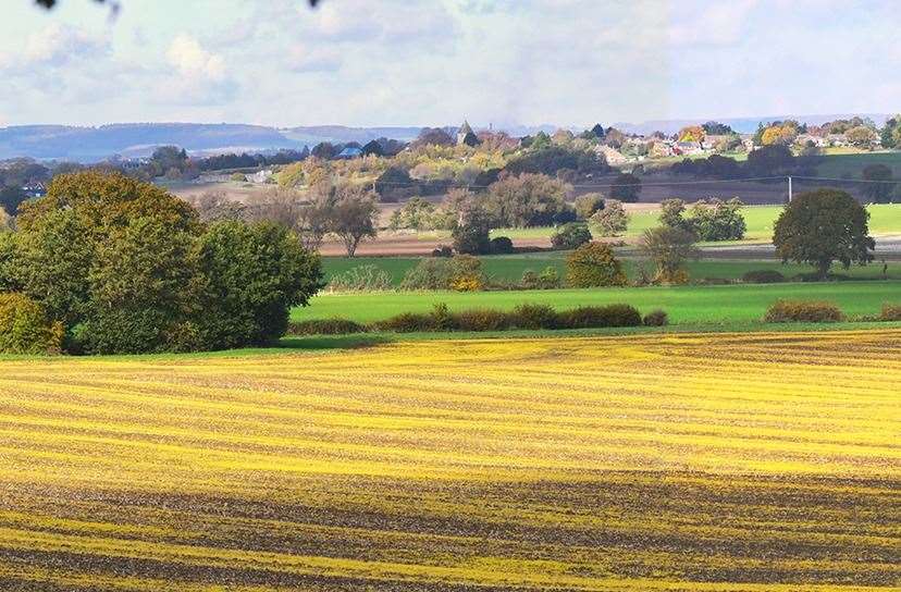 Land near Aldington earmarked for solar farms